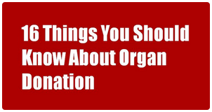 know about organ donation in india